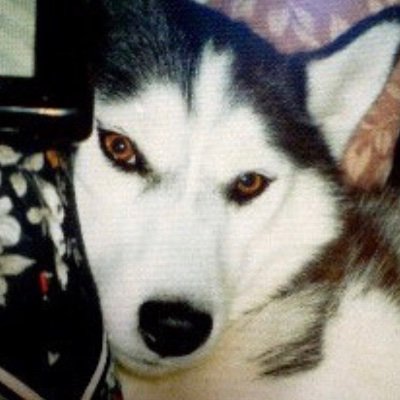 生き物何でも大好き。
犬猫多数。保護っ子達も多数。
亀、24種52匹
鳥、2種5羽
鶏、2種4羽
賑やかにワヤワヤ暮らしています😸
どうぞよろしくお願いします。
長野県 上伊那