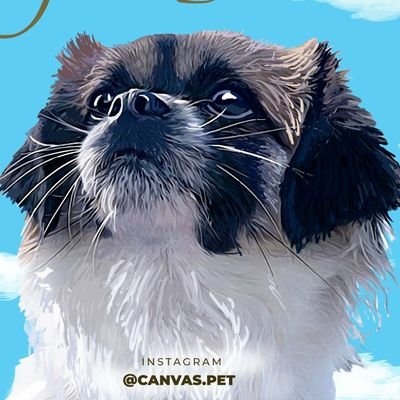 dogjackbacon's profile picture. 