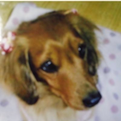 hiroe_Audi__12 Profile Picture