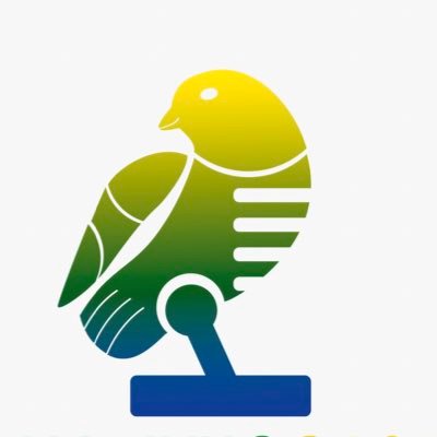 Tudo sobre a Seleção Brasileira com Rafael Brasileiro e Rodrigo Massa! #VemHexa