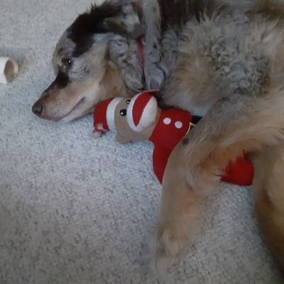 BadgerLady6's profile picture. History lover, Christian, Die hard Red Sox and Raider fan, I love civil debate about politics and issues of the day