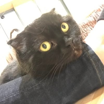 もっとちやほやして下さい