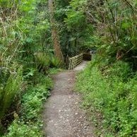 The Seeker 🇺🇸 (@theseekerfinds) 's Twitter Profile