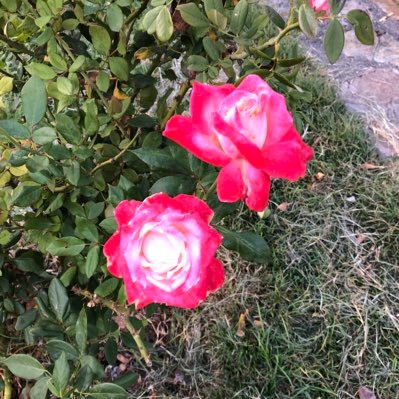 verocazu's profile picture. Viviendo la magia del aquí y el ahora. We are All Divine Sparks of God!!!