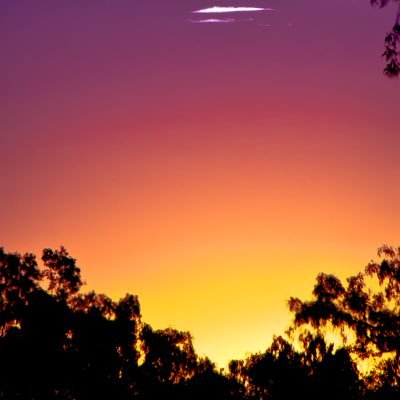 dunk49173758's profile picture. Bruh, just here