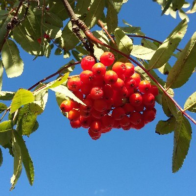 Laura47215177's profile picture. 