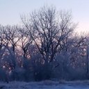 Don Jobe - @big_papa_don - Twitter