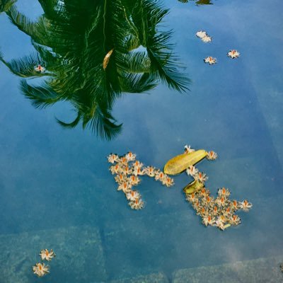 amoghaSD's profile picture. 