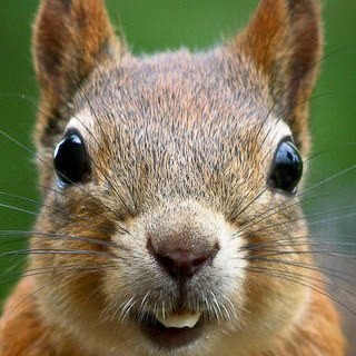 fairtrade_'s profile picture. フェアトレードをひとりでも多くの人に知って欲しいと思っています