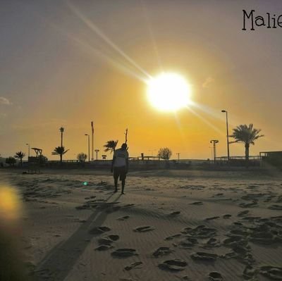 robert_maliq_'s profile picture. 