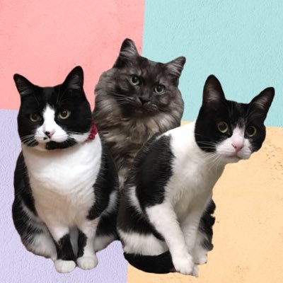 fukuさんのプロフィール画像
