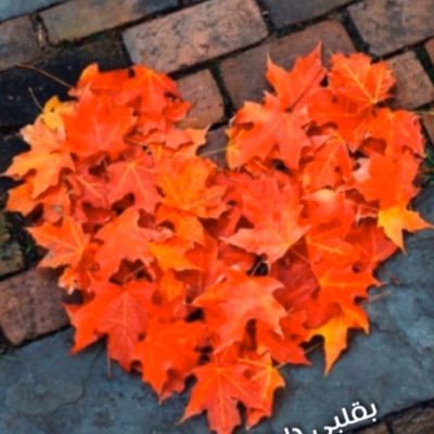نصبر على المقسوم لو كان ماكان .. يمكن يكون بتالي الوقت خيره
