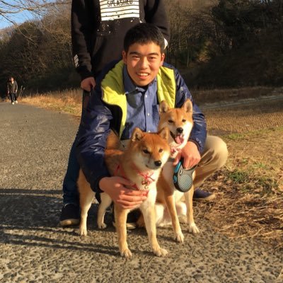 @letterfan_jp Co-Founder / 柴犬大好き