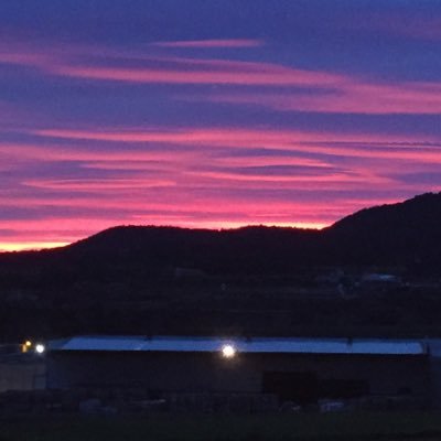 CbnElectric's profile picture. Elèctric