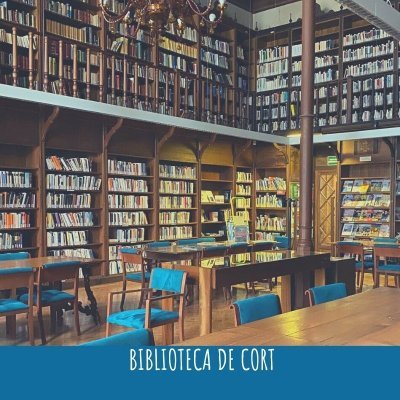 Biblioteca de Cort. Plaça de Cort, 1  07001 Palma. Illes Balears
971225962