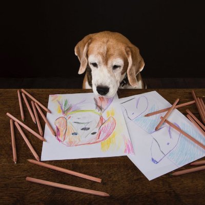 WiggleBeagleさんのプロフィール画像