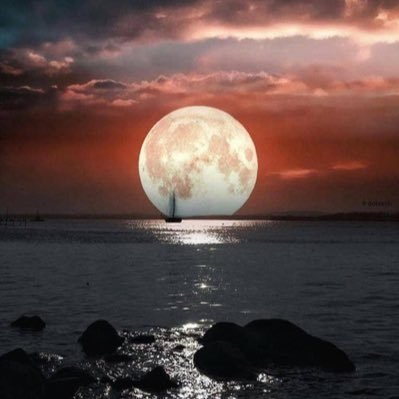 9kC9oqHGUKPlcah's profile picture. اسماعيل