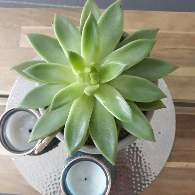 H86534389's profile picture. If you've got nothing good to say, say nothing