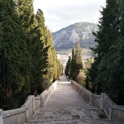 SiMulvanny's profile picture. 