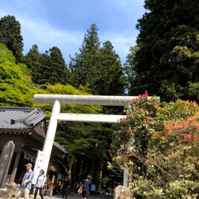 神社⛩自然🏔旅行✈️好きです