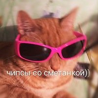 _susuvatary_'s profile picture. #MCR #killjoy #おたく #MCL #СФ #чипсеки #LAYS #пево