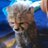 MnR6a's profile image