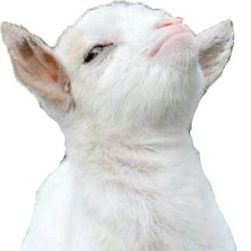 RockJohnny5's profile picture. 18+ mdni