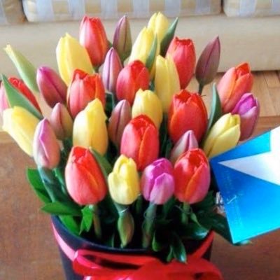 ceciliapeme's profile picture. 