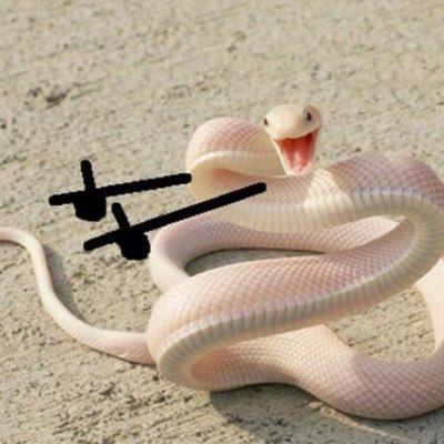 Kat_Dee3's profile picture. 