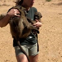 Fiona Zycinski (@fionazycinski) 's Twitter Profile