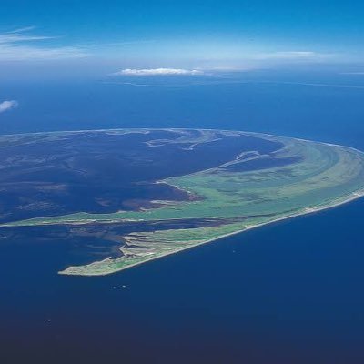 ou_f_'s profile picture. 哀願しても懇願しても変わらないや、もう