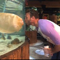 Big Dumb Brad (@bigdumbbrad) 's Twitter Profile
