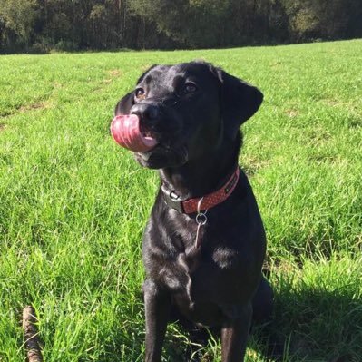 scott_mccreadie's profile picture. 