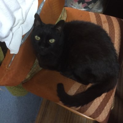 kawanoyasuyasu's profile picture. 日記書いてます。 コウノの日記 https://t.co/odtsw1qpbr https://t.co/kLdE5DUWOQ まともに日本語も話せなかったコミュ障です。中学不登校、対人恐怖症、元場面緘黙症、社交不安障害、ASD、たったの3ヶ月でベトナム留学を断念。