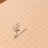 pinshow_bnp's profile image