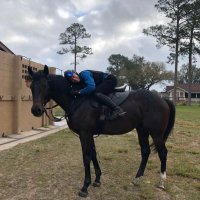 alexandra rice (@ricehorsesales) 's Twitter Profile