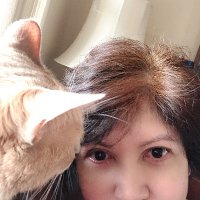 SusanFA 🇺🇸 (@sfkitty56) 's Twitter Profile
