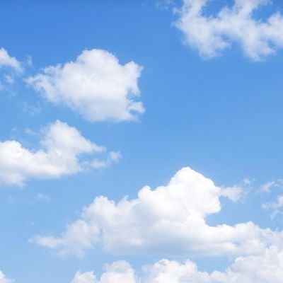 CrissWei's profile picture. 