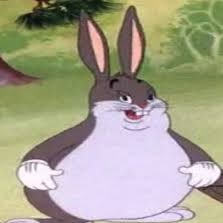 bot_chungus Profile Picture