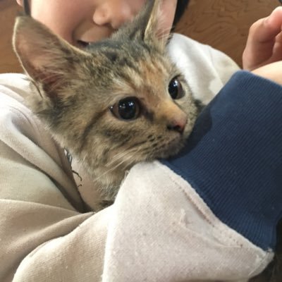 bitbit97650354's profile picture. 仮想通貨始めました❣️とりあえず、コインチェックで、ビットから。 この先は、これから勉強しまーす^ - ^#暗号通貨#BTC#コインチェック#相互フォロー#planet