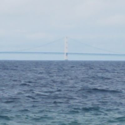 FruitrobertBob's profile picture. 