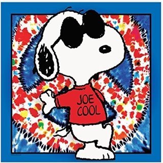 #for ever blue. #mother #widow Semi retired RN#Will stand up for what is right#Goodbye Trump #PeopleBeforeProfit #BlackLivesMatter#Biden/Harris #FBR