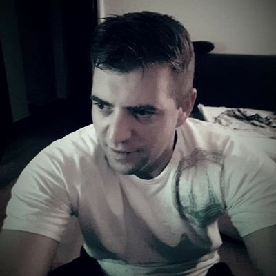 LjubomirRanisa1's profile picture. WordPress speed optimization, WordPress, Digital Marketing