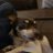 taylorcarps's profile image