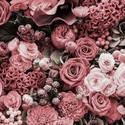 miftahulfa_'s profile picture. A Forever Student in the University of Life 🌼