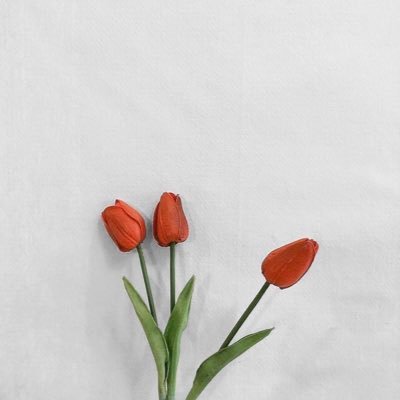 NANA_7761_K's profile picture. 