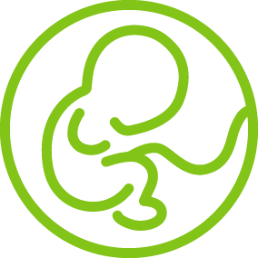 @ESHRE's Special Interest Group captivated by the development of early pregnancy from the embryonic stage towards the end of the first trimester of pregnancy.
