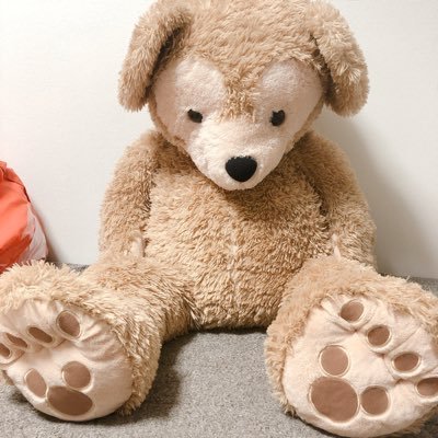 無言フォローごめんなさい！フォロワー募集！徳島が好きで徳島をどうにかしたい気持ちでいっぱいです。