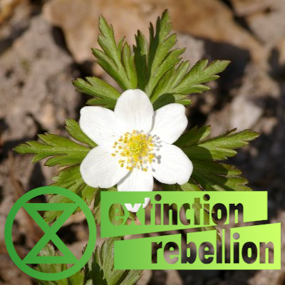 XrStefan's profile picture. Extinction is forever!

M:  @XrStefan@climatejustice.social