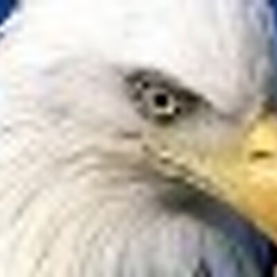 alertedge's profile image